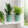 2 pentru 1: Ghiveci decorativ gri