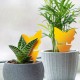 Home & Garden Care Set