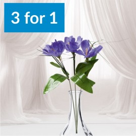 3 pentru 1: Iris artificial