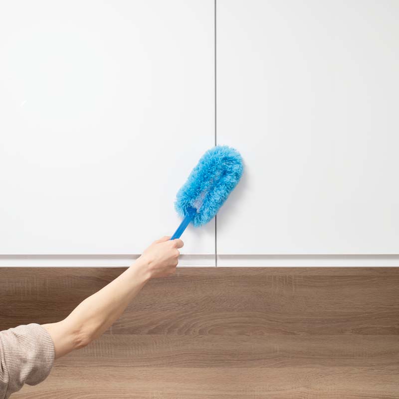 Pămătuf pliabil pentru şters praful