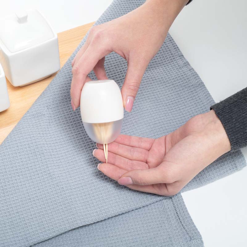 Recipient pentru scobitori cu magnet