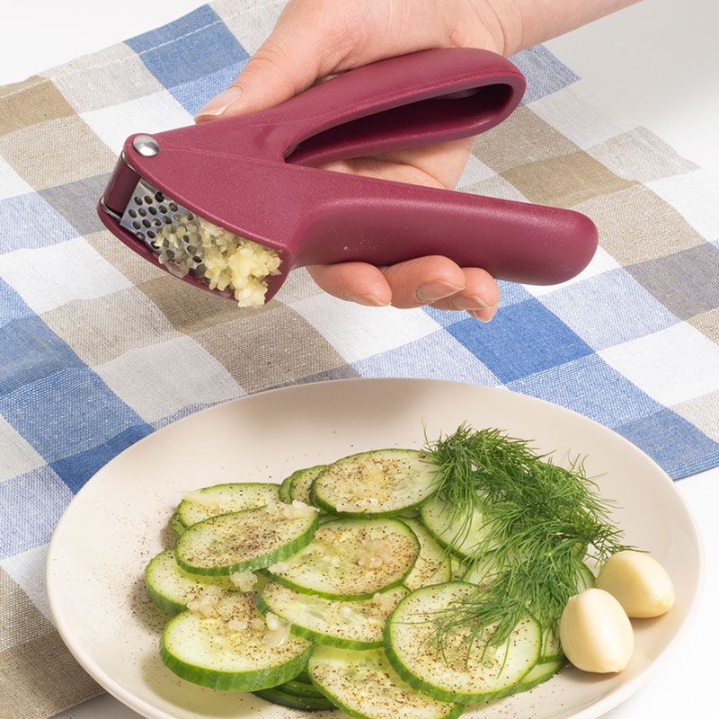 Presă pentru usturoi