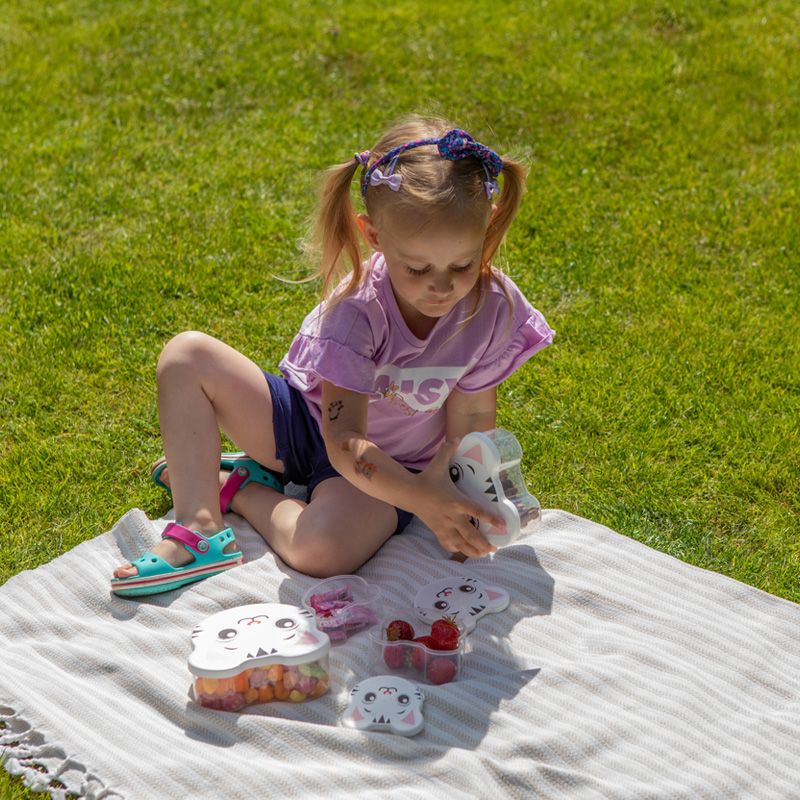 Set de 4 recipiente Pisicuţă