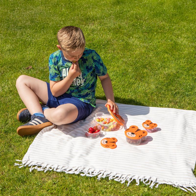 Set de 4 recipiente Leu