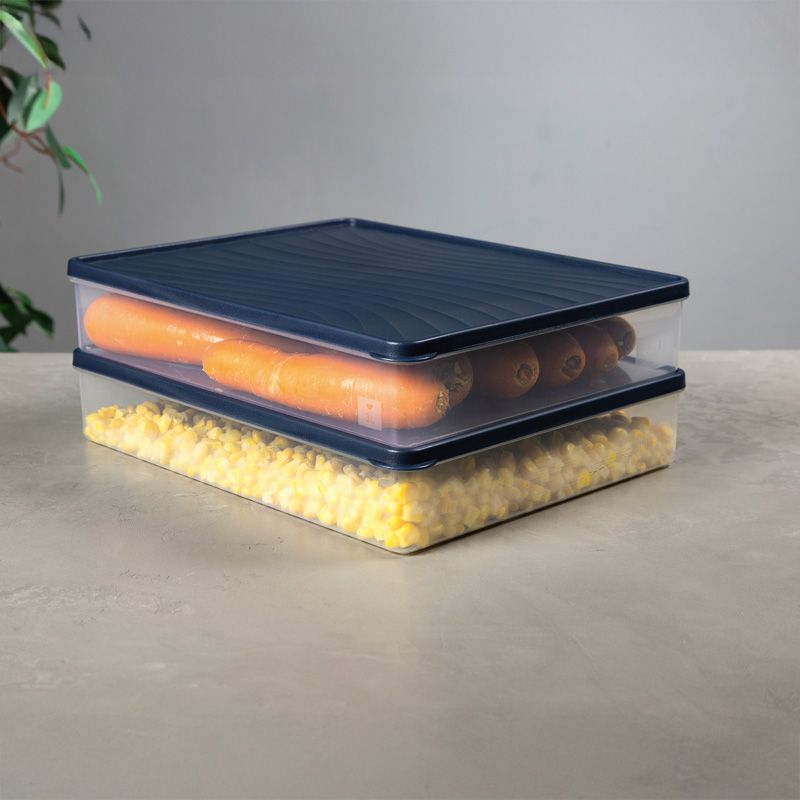 Recipient pentru congelator cu capac 3 l