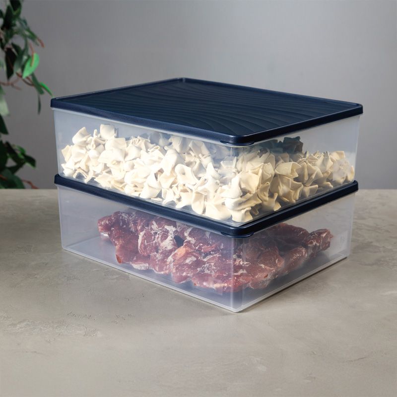 Recipient pentru congelator cu capac 5 l