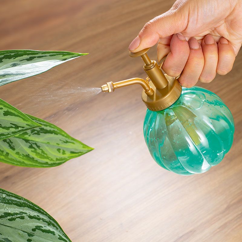 Mini pulverizator cu pompiţă