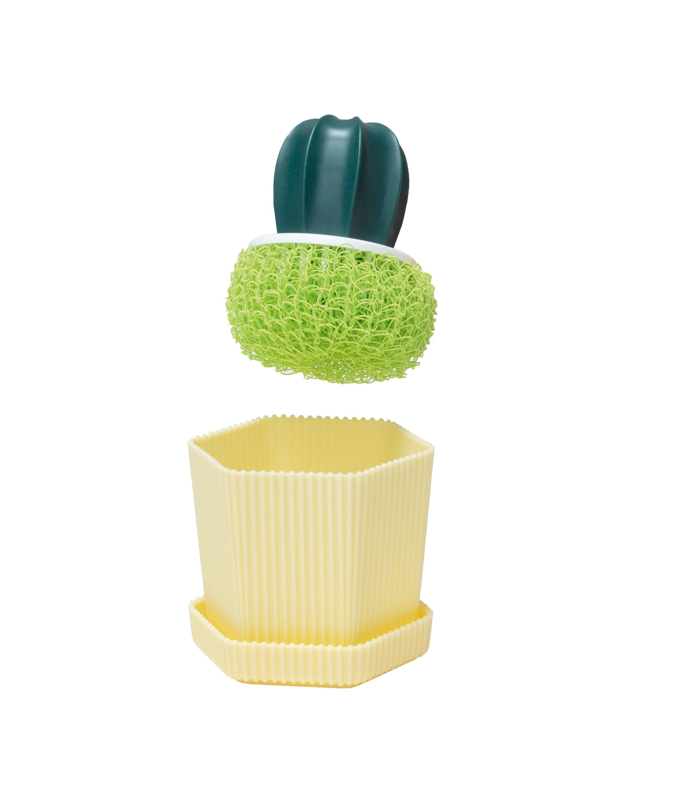 Burete de spălat Cactus